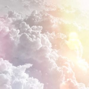 Meet your Posher, Sophia